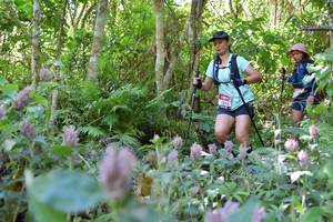 BIB: 
                            <button type="button" onclick="openModal(6897401)" class="btn btn-primary btn-sm float-right btn-popup" data-toggle="modal" data-target=".modal-high-quality">
                        <i class="fas fa-shopping-cart"></i> Add to Cart
                    </button>
                                            <button type="button" onclick="isThisMe(6897401, true)" class="btn btn-success btn-sm float-right btn-popup btn-isme hidden" data-toggle="tooltip" data-placement="bottom" title="นี่คือรูปของคุณใช่ไหม คลิกที่นี่เพื่อเอาเข้าอัลบั้ม">
                        <i class="fas fa-plus"></i> Add to album
                    </button>
                    <button type="button" onclick="isThisMe(6897401, false)" class="btn btn-warning btn-sm float-right btn-popup btn-isnotme hidden">
                        <i class="fas fa-ban"></i> Remove from album
                    </button>