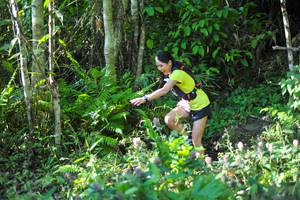 BIB: 
                            <button type="button" onclick="openModal(6904880)" class="btn btn-primary btn-sm float-right btn-popup" data-toggle="modal" data-target=".modal-high-quality">
                        <i class="fas fa-shopping-cart"></i> Add to Cart
                    </button>
                                            <button type="button" onclick="isThisMe(6904880, true)" class="btn btn-success btn-sm float-right btn-popup btn-isme hidden" data-toggle="tooltip" data-placement="bottom" title="นี่คือรูปของคุณใช่ไหม คลิกที่นี่เพื่อเอาเข้าอัลบั้ม">
                        <i class="fas fa-plus"></i> Add to album
                    </button>
                    <button type="button" onclick="isThisMe(6904880, false)" class="btn btn-warning btn-sm float-right btn-popup btn-isnotme hidden">
                        <i class="fas fa-ban"></i> Remove from album
                    </button>