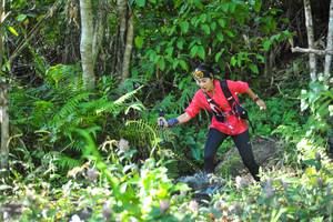 BIB: 
                            <button type="button" onclick="openModal(6905980)" class="btn btn-primary btn-sm float-right btn-popup" data-toggle="modal" data-target=".modal-high-quality">
                        <i class="fas fa-shopping-cart"></i> Add to Cart
                    </button>
                                            <button type="button" onclick="isThisMe(6905980, true)" class="btn btn-success btn-sm float-right btn-popup btn-isme hidden" data-toggle="tooltip" data-placement="bottom" title="นี่คือรูปของคุณใช่ไหม คลิกที่นี่เพื่อเอาเข้าอัลบั้ม">
                        <i class="fas fa-plus"></i> Add to album
                    </button>
                    <button type="button" onclick="isThisMe(6905980, false)" class="btn btn-warning btn-sm float-right btn-popup btn-isnotme hidden">
                        <i class="fas fa-ban"></i> Remove from album
                    </button>