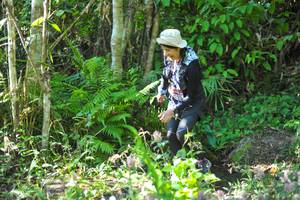 BIB: 
                            <button type="button" onclick="openModal(6906140)" class="btn btn-primary btn-sm float-right btn-popup" data-toggle="modal" data-target=".modal-high-quality">
                        <i class="fas fa-shopping-cart"></i> Add to Cart
                    </button>
                                            <button type="button" onclick="isThisMe(6906140, true)" class="btn btn-success btn-sm float-right btn-popup btn-isme hidden" data-toggle="tooltip" data-placement="bottom" title="นี่คือรูปของคุณใช่ไหม คลิกที่นี่เพื่อเอาเข้าอัลบั้ม">
                        <i class="fas fa-plus"></i> Add to album
                    </button>
                    <button type="button" onclick="isThisMe(6906140, false)" class="btn btn-warning btn-sm float-right btn-popup btn-isnotme hidden">
                        <i class="fas fa-ban"></i> Remove from album
                    </button>