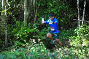 BIB: 2711
                            <button type="button" onclick="openModal(6904678)" class="btn btn-primary btn-sm float-right btn-popup" data-toggle="modal" data-target=".modal-high-quality">
                        <i class="fas fa-shopping-cart"></i> Add to Cart
                    </button>
                                            <button type="button" onclick="isThisMe(6904678, true)" class="btn btn-success btn-sm float-right btn-popup btn-isme hidden" data-toggle="tooltip" data-placement="bottom" title="นี่คือรูปของคุณใช่ไหม คลิกที่นี่เพื่อเอาเข้าอัลบั้ม">
                        <i class="fas fa-plus"></i> Add to album
                    </button>
                    <button type="button" onclick="isThisMe(6904678, false)" class="btn btn-warning btn-sm float-right btn-popup btn-isnotme hidden">
                        <i class="fas fa-ban"></i> Remove from album
                    </button>