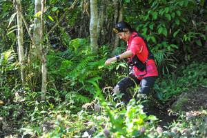 BIB: 
                            <button type="button" onclick="openModal(6905985)" class="btn btn-primary btn-sm float-right btn-popup" data-toggle="modal" data-target=".modal-high-quality">
                        <i class="fas fa-shopping-cart"></i> Add to Cart
                    </button>
                                            <button type="button" onclick="isThisMe(6905985, true)" class="btn btn-success btn-sm float-right btn-popup btn-isme hidden" data-toggle="tooltip" data-placement="bottom" title="นี่คือรูปของคุณใช่ไหม คลิกที่นี่เพื่อเอาเข้าอัลบั้ม">
                        <i class="fas fa-plus"></i> Add to album
                    </button>
                    <button type="button" onclick="isThisMe(6905985, false)" class="btn btn-warning btn-sm float-right btn-popup btn-isnotme hidden">
                        <i class="fas fa-ban"></i> Remove from album
                    </button>