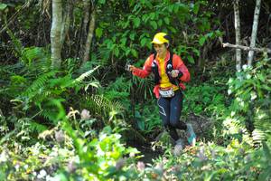 BIB: 161
                            <button type="button" onclick="openModal(6906096)" class="btn btn-primary btn-sm float-right btn-popup" data-toggle="modal" data-target=".modal-high-quality">
                        <i class="fas fa-shopping-cart"></i> Add to Cart
                    </button>
                                            <button type="button" onclick="isThisMe(6906096, true)" class="btn btn-success btn-sm float-right btn-popup btn-isme hidden" data-toggle="tooltip" data-placement="bottom" title="นี่คือรูปของคุณใช่ไหม คลิกที่นี่เพื่อเอาเข้าอัลบั้ม">
                        <i class="fas fa-plus"></i> Add to album
                    </button>
                    <button type="button" onclick="isThisMe(6906096, false)" class="btn btn-warning btn-sm float-right btn-popup btn-isnotme hidden">
                        <i class="fas fa-ban"></i> Remove from album
                    </button>