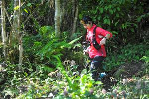 BIB: 
                            <button type="button" onclick="openModal(6905989)" class="btn btn-primary btn-sm float-right btn-popup" data-toggle="modal" data-target=".modal-high-quality">
                        <i class="fas fa-shopping-cart"></i> Add to Cart
                    </button>
                                            <button type="button" onclick="isThisMe(6905989, true)" class="btn btn-success btn-sm float-right btn-popup btn-isme hidden" data-toggle="tooltip" data-placement="bottom" title="นี่คือรูปของคุณใช่ไหม คลิกที่นี่เพื่อเอาเข้าอัลบั้ม">
                        <i class="fas fa-plus"></i> Add to album
                    </button>
                    <button type="button" onclick="isThisMe(6905989, false)" class="btn btn-warning btn-sm float-right btn-popup btn-isnotme hidden">
                        <i class="fas fa-ban"></i> Remove from album
                    </button>