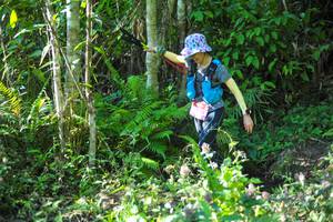 BIB: 
                            <button type="button" onclick="openModal(6905544)" class="btn btn-primary btn-sm float-right btn-popup" data-toggle="modal" data-target=".modal-high-quality">
                        <i class="fas fa-shopping-cart"></i> Add to Cart
                    </button>
                                            <button type="button" onclick="isThisMe(6905544, true)" class="btn btn-success btn-sm float-right btn-popup btn-isme hidden" data-toggle="tooltip" data-placement="bottom" title="นี่คือรูปของคุณใช่ไหม คลิกที่นี่เพื่อเอาเข้าอัลบั้ม">
                        <i class="fas fa-plus"></i> Add to album
                    </button>
                    <button type="button" onclick="isThisMe(6905544, false)" class="btn btn-warning btn-sm float-right btn-popup btn-isnotme hidden">
                        <i class="fas fa-ban"></i> Remove from album
                    </button>