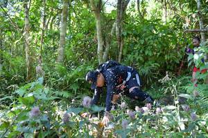 BIB: 
                            <button type="button" onclick="openModal(6908541)" class="btn btn-primary btn-sm float-right btn-popup" data-toggle="modal" data-target=".modal-high-quality">
                        <i class="fas fa-shopping-cart"></i> Add to Cart
                    </button>
                                            <button type="button" onclick="isThisMe(6908541, true)" class="btn btn-success btn-sm float-right btn-popup btn-isme hidden" data-toggle="tooltip" data-placement="bottom" title="นี่คือรูปของคุณใช่ไหม คลิกที่นี่เพื่อเอาเข้าอัลบั้ม">
                        <i class="fas fa-plus"></i> Add to album
                    </button>
                    <button type="button" onclick="isThisMe(6908541, false)" class="btn btn-warning btn-sm float-right btn-popup btn-isnotme hidden">
                        <i class="fas fa-ban"></i> Remove from album
                    </button>