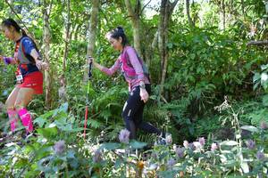 BIB: 
                            <button type="button" onclick="openModal(6908570)" class="btn btn-primary btn-sm float-right btn-popup" data-toggle="modal" data-target=".modal-high-quality">
                        <i class="fas fa-shopping-cart"></i> Add to Cart
                    </button>
                                            <button type="button" onclick="isThisMe(6908570, true)" class="btn btn-success btn-sm float-right btn-popup btn-isme hidden" data-toggle="tooltip" data-placement="bottom" title="นี่คือรูปของคุณใช่ไหม คลิกที่นี่เพื่อเอาเข้าอัลบั้ม">
                        <i class="fas fa-plus"></i> Add to album
                    </button>
                    <button type="button" onclick="isThisMe(6908570, false)" class="btn btn-warning btn-sm float-right btn-popup btn-isnotme hidden">
                        <i class="fas fa-ban"></i> Remove from album
                    </button>