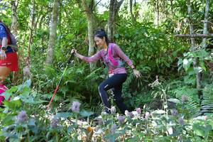 BIB: 
                            <button type="button" onclick="openModal(6908547)" class="btn btn-primary btn-sm float-right btn-popup" data-toggle="modal" data-target=".modal-high-quality">
                        <i class="fas fa-shopping-cart"></i> Add to Cart
                    </button>
                                            <button type="button" onclick="isThisMe(6908547, true)" class="btn btn-success btn-sm float-right btn-popup btn-isme hidden" data-toggle="tooltip" data-placement="bottom" title="นี่คือรูปของคุณใช่ไหม คลิกที่นี่เพื่อเอาเข้าอัลบั้ม">
                        <i class="fas fa-plus"></i> Add to album
                    </button>
                    <button type="button" onclick="isThisMe(6908547, false)" class="btn btn-warning btn-sm float-right btn-popup btn-isnotme hidden">
                        <i class="fas fa-ban"></i> Remove from album
                    </button>