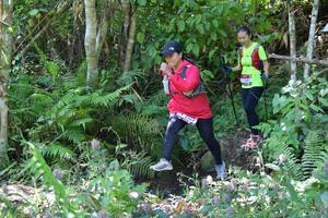 BIB: 
                            <button type="button" onclick="openModal(6907751)" class="btn btn-primary btn-sm float-right btn-popup" data-toggle="modal" data-target=".modal-high-quality">
                        <i class="fas fa-shopping-cart"></i> Add to Cart
                    </button>
                                            <button type="button" onclick="isThisMe(6907751, true)" class="btn btn-success btn-sm float-right btn-popup btn-isme hidden" data-toggle="tooltip" data-placement="bottom" title="นี่คือรูปของคุณใช่ไหม คลิกที่นี่เพื่อเอาเข้าอัลบั้ม">
                        <i class="fas fa-plus"></i> Add to album
                    </button>
                    <button type="button" onclick="isThisMe(6907751, false)" class="btn btn-warning btn-sm float-right btn-popup btn-isnotme hidden">
                        <i class="fas fa-ban"></i> Remove from album
                    </button>