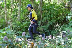 BIB: 
                            <button type="button" onclick="openModal(6908629)" class="btn btn-primary btn-sm float-right btn-popup" data-toggle="modal" data-target=".modal-high-quality">
                        <i class="fas fa-shopping-cart"></i> Add to Cart
                    </button>
                                            <button type="button" onclick="isThisMe(6908629, true)" class="btn btn-success btn-sm float-right btn-popup btn-isme hidden" data-toggle="tooltip" data-placement="bottom" title="นี่คือรูปของคุณใช่ไหม คลิกที่นี่เพื่อเอาเข้าอัลบั้ม">
                        <i class="fas fa-plus"></i> Add to album
                    </button>
                    <button type="button" onclick="isThisMe(6908629, false)" class="btn btn-warning btn-sm float-right btn-popup btn-isnotme hidden">
                        <i class="fas fa-ban"></i> Remove from album
                    </button>