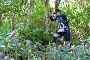 BIB: 404
                            <button type="button" onclick="openModal(6894137)" class="btn btn-primary btn-sm float-right btn-popup" data-toggle="modal" data-target=".modal-high-quality">
                        <i class="fas fa-shopping-cart"></i> Add to Cart
                    </button>
                                            <button type="button" onclick="isThisMe(6894137, true)" class="btn btn-success btn-sm float-right btn-popup btn-isme hidden" data-toggle="tooltip" data-placement="bottom" title="นี่คือรูปของคุณใช่ไหม คลิกที่นี่เพื่อเอาเข้าอัลบั้ม">
                        <i class="fas fa-plus"></i> Add to album
                    </button>
                    <button type="button" onclick="isThisMe(6894137, false)" class="btn btn-warning btn-sm float-right btn-popup btn-isnotme hidden">
                        <i class="fas fa-ban"></i> Remove from album
                    </button>