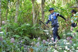 BIB: 
                            <button type="button" onclick="openModal(6887554)" class="btn btn-primary btn-sm float-right btn-popup" data-toggle="modal" data-target=".modal-high-quality">
                        <i class="fas fa-shopping-cart"></i> Add to Cart
                    </button>
                                            <button type="button" onclick="isThisMe(6887554, true)" class="btn btn-success btn-sm float-right btn-popup btn-isme hidden" data-toggle="tooltip" data-placement="bottom" title="นี่คือรูปของคุณใช่ไหม คลิกที่นี่เพื่อเอาเข้าอัลบั้ม">
                        <i class="fas fa-plus"></i> Add to album
                    </button>
                    <button type="button" onclick="isThisMe(6887554, false)" class="btn btn-warning btn-sm float-right btn-popup btn-isnotme hidden">
                        <i class="fas fa-ban"></i> Remove from album
                    </button>