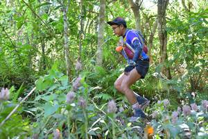 BIB: 
                            <button type="button" onclick="openModal(6886721)" class="btn btn-primary btn-sm float-right btn-popup" data-toggle="modal" data-target=".modal-high-quality">
                        <i class="fas fa-shopping-cart"></i> Add to Cart
                    </button>
                                            <button type="button" onclick="isThisMe(6886721, true)" class="btn btn-success btn-sm float-right btn-popup btn-isme hidden" data-toggle="tooltip" data-placement="bottom" title="นี่คือรูปของคุณใช่ไหม คลิกที่นี่เพื่อเอาเข้าอัลบั้ม">
                        <i class="fas fa-plus"></i> Add to album
                    </button>
                    <button type="button" onclick="isThisMe(6886721, false)" class="btn btn-warning btn-sm float-right btn-popup btn-isnotme hidden">
                        <i class="fas fa-ban"></i> Remove from album
                    </button>