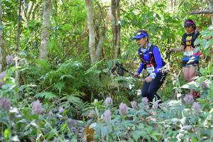 BIB: 5072, 1408
                            <button type="button" onclick="openModal(6888209)" class="btn btn-primary btn-sm float-right btn-popup" data-toggle="modal" data-target=".modal-high-quality">
                        <i class="fas fa-shopping-cart"></i> Add to Cart
                    </button>
                                            <button type="button" onclick="isThisMe(6888209, true)" class="btn btn-success btn-sm float-right btn-popup btn-isme hidden" data-toggle="tooltip" data-placement="bottom" title="นี่คือรูปของคุณใช่ไหม คลิกที่นี่เพื่อเอาเข้าอัลบั้ม">
                        <i class="fas fa-plus"></i> Add to album
                    </button>
                    <button type="button" onclick="isThisMe(6888209, false)" class="btn btn-warning btn-sm float-right btn-popup btn-isnotme hidden">
                        <i class="fas fa-ban"></i> Remove from album
                    </button>