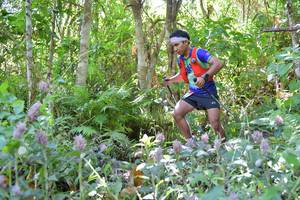 BIB: 
                            <button type="button" onclick="openModal(6887116)" class="btn btn-primary btn-sm float-right btn-popup" data-toggle="modal" data-target=".modal-high-quality">
                        <i class="fas fa-shopping-cart"></i> Add to Cart
                    </button>
                                            <button type="button" onclick="isThisMe(6887116, true)" class="btn btn-success btn-sm float-right btn-popup btn-isme hidden" data-toggle="tooltip" data-placement="bottom" title="นี่คือรูปของคุณใช่ไหม คลิกที่นี่เพื่อเอาเข้าอัลบั้ม">
                        <i class="fas fa-plus"></i> Add to album
                    </button>
                    <button type="button" onclick="isThisMe(6887116, false)" class="btn btn-warning btn-sm float-right btn-popup btn-isnotme hidden">
                        <i class="fas fa-ban"></i> Remove from album
                    </button>