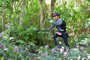 BIB: 
                            <button type="button" onclick="openModal(6888100)" class="btn btn-primary btn-sm float-right btn-popup" data-toggle="modal" data-target=".modal-high-quality">
                        <i class="fas fa-shopping-cart"></i> Add to Cart
                    </button>
                                            <button type="button" onclick="isThisMe(6888100, true)" class="btn btn-success btn-sm float-right btn-popup btn-isme hidden" data-toggle="tooltip" data-placement="bottom" title="นี่คือรูปของคุณใช่ไหม คลิกที่นี่เพื่อเอาเข้าอัลบั้ม">
                        <i class="fas fa-plus"></i> Add to album
                    </button>
                    <button type="button" onclick="isThisMe(6888100, false)" class="btn btn-warning btn-sm float-right btn-popup btn-isnotme hidden">
                        <i class="fas fa-ban"></i> Remove from album
                    </button>