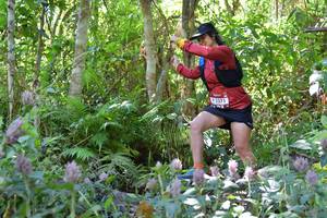 BIB: 2371
                            <button type="button" onclick="openModal(6887694)" class="btn btn-primary btn-sm float-right btn-popup" data-toggle="modal" data-target=".modal-high-quality">
                        <i class="fas fa-shopping-cart"></i> Add to Cart
                    </button>
                                            <button type="button" onclick="isThisMe(6887694, true)" class="btn btn-success btn-sm float-right btn-popup btn-isme hidden" data-toggle="tooltip" data-placement="bottom" title="นี่คือรูปของคุณใช่ไหม คลิกที่นี่เพื่อเอาเข้าอัลบั้ม">
                        <i class="fas fa-plus"></i> Add to album
                    </button>
                    <button type="button" onclick="isThisMe(6887694, false)" class="btn btn-warning btn-sm float-right btn-popup btn-isnotme hidden">
                        <i class="fas fa-ban"></i> Remove from album
                    </button>