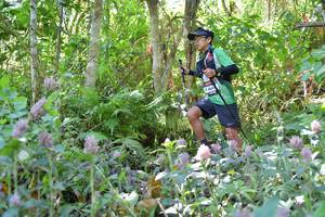 BIB: 
                            <button type="button" onclick="openModal(6888870)" class="btn btn-primary btn-sm float-right btn-popup" data-toggle="modal" data-target=".modal-high-quality">
                        <i class="fas fa-shopping-cart"></i> Add to Cart
                    </button>
                                            <button type="button" onclick="isThisMe(6888870, true)" class="btn btn-success btn-sm float-right btn-popup btn-isme hidden" data-toggle="tooltip" data-placement="bottom" title="นี่คือรูปของคุณใช่ไหม คลิกที่นี่เพื่อเอาเข้าอัลบั้ม">
                        <i class="fas fa-plus"></i> Add to album
                    </button>
                    <button type="button" onclick="isThisMe(6888870, false)" class="btn btn-warning btn-sm float-right btn-popup btn-isnotme hidden">
                        <i class="fas fa-ban"></i> Remove from album
                    </button>