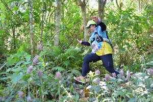 BIB: 
                            <button type="button" onclick="openModal(6888032)" class="btn btn-primary btn-sm float-right btn-popup" data-toggle="modal" data-target=".modal-high-quality">
                        <i class="fas fa-shopping-cart"></i> Add to Cart
                    </button>
                                            <button type="button" onclick="isThisMe(6888032, true)" class="btn btn-success btn-sm float-right btn-popup btn-isme hidden" data-toggle="tooltip" data-placement="bottom" title="นี่คือรูปของคุณใช่ไหม คลิกที่นี่เพื่อเอาเข้าอัลบั้ม">
                        <i class="fas fa-plus"></i> Add to album
                    </button>
                    <button type="button" onclick="isThisMe(6888032, false)" class="btn btn-warning btn-sm float-right btn-popup btn-isnotme hidden">
                        <i class="fas fa-ban"></i> Remove from album
                    </button>