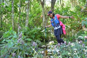 BIB: 
                            <button type="button" onclick="openModal(6888437)" class="btn btn-primary btn-sm float-right btn-popup" data-toggle="modal" data-target=".modal-high-quality">
                        <i class="fas fa-shopping-cart"></i> Add to Cart
                    </button>
                                            <button type="button" onclick="isThisMe(6888437, true)" class="btn btn-success btn-sm float-right btn-popup btn-isme hidden" data-toggle="tooltip" data-placement="bottom" title="นี่คือรูปของคุณใช่ไหม คลิกที่นี่เพื่อเอาเข้าอัลบั้ม">
                        <i class="fas fa-plus"></i> Add to album
                    </button>
                    <button type="button" onclick="isThisMe(6888437, false)" class="btn btn-warning btn-sm float-right btn-popup btn-isnotme hidden">
                        <i class="fas fa-ban"></i> Remove from album
                    </button>