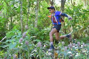 BIB: 
                            <button type="button" onclick="openModal(6889007)" class="btn btn-primary btn-sm float-right btn-popup" data-toggle="modal" data-target=".modal-high-quality">
                        <i class="fas fa-shopping-cart"></i> Add to Cart
                    </button>
                                            <button type="button" onclick="isThisMe(6889007, true)" class="btn btn-success btn-sm float-right btn-popup btn-isme hidden" data-toggle="tooltip" data-placement="bottom" title="นี่คือรูปของคุณใช่ไหม คลิกที่นี่เพื่อเอาเข้าอัลบั้ม">
                        <i class="fas fa-plus"></i> Add to album
                    </button>
                    <button type="button" onclick="isThisMe(6889007, false)" class="btn btn-warning btn-sm float-right btn-popup btn-isnotme hidden">
                        <i class="fas fa-ban"></i> Remove from album
                    </button>