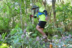 BIB: 
                            <button type="button" onclick="openModal(6886124)" class="btn btn-primary btn-sm float-right btn-popup" data-toggle="modal" data-target=".modal-high-quality">
                        <i class="fas fa-shopping-cart"></i> Add to Cart
                    </button>
                                            <button type="button" onclick="isThisMe(6886124, true)" class="btn btn-success btn-sm float-right btn-popup btn-isme hidden" data-toggle="tooltip" data-placement="bottom" title="นี่คือรูปของคุณใช่ไหม คลิกที่นี่เพื่อเอาเข้าอัลบั้ม">
                        <i class="fas fa-plus"></i> Add to album
                    </button>
                    <button type="button" onclick="isThisMe(6886124, false)" class="btn btn-warning btn-sm float-right btn-popup btn-isnotme hidden">
                        <i class="fas fa-ban"></i> Remove from album
                    </button>