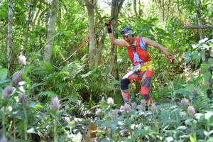 BIB: 
                            <button type="button" onclick="openModal(6888134)" class="btn btn-primary btn-sm float-right btn-popup" data-toggle="modal" data-target=".modal-high-quality">
                        <i class="fas fa-shopping-cart"></i> Add to Cart
                    </button>
                                            <button type="button" onclick="isThisMe(6888134, true)" class="btn btn-success btn-sm float-right btn-popup btn-isme hidden" data-toggle="tooltip" data-placement="bottom" title="นี่คือรูปของคุณใช่ไหม คลิกที่นี่เพื่อเอาเข้าอัลบั้ม">
                        <i class="fas fa-plus"></i> Add to album
                    </button>
                    <button type="button" onclick="isThisMe(6888134, false)" class="btn btn-warning btn-sm float-right btn-popup btn-isnotme hidden">
                        <i class="fas fa-ban"></i> Remove from album
                    </button>