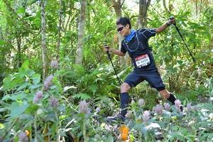 BIB: 4459
                            <button type="button" onclick="openModal(6886717)" class="btn btn-primary btn-sm float-right btn-popup" data-toggle="modal" data-target=".modal-high-quality">
                        <i class="fas fa-shopping-cart"></i> Add to Cart
                    </button>
                                            <button type="button" onclick="isThisMe(6886717, true)" class="btn btn-success btn-sm float-right btn-popup btn-isme hidden" data-toggle="tooltip" data-placement="bottom" title="นี่คือรูปของคุณใช่ไหม คลิกที่นี่เพื่อเอาเข้าอัลบั้ม">
                        <i class="fas fa-plus"></i> Add to album
                    </button>
                    <button type="button" onclick="isThisMe(6886717, false)" class="btn btn-warning btn-sm float-right btn-popup btn-isnotme hidden">
                        <i class="fas fa-ban"></i> Remove from album
                    </button>