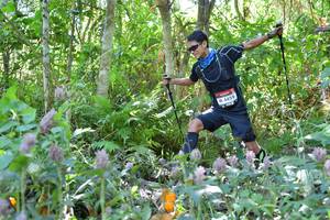 BIB: 4459
                            <button type="button" onclick="openModal(6888530)" class="btn btn-primary btn-sm float-right btn-popup" data-toggle="modal" data-target=".modal-high-quality">
                        <i class="fas fa-shopping-cart"></i> Add to Cart
                    </button>
                                            <button type="button" onclick="isThisMe(6888530, true)" class="btn btn-success btn-sm float-right btn-popup btn-isme hidden" data-toggle="tooltip" data-placement="bottom" title="นี่คือรูปของคุณใช่ไหม คลิกที่นี่เพื่อเอาเข้าอัลบั้ม">
                        <i class="fas fa-plus"></i> Add to album
                    </button>
                    <button type="button" onclick="isThisMe(6888530, false)" class="btn btn-warning btn-sm float-right btn-popup btn-isnotme hidden">
                        <i class="fas fa-ban"></i> Remove from album
                    </button>