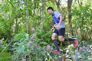 BIB: 
                            <button type="button" onclick="openModal(6886978)" class="btn btn-primary btn-sm float-right btn-popup" data-toggle="modal" data-target=".modal-high-quality">
                        <i class="fas fa-shopping-cart"></i> Add to Cart
                    </button>
                                            <button type="button" onclick="isThisMe(6886978, true)" class="btn btn-success btn-sm float-right btn-popup btn-isme hidden" data-toggle="tooltip" data-placement="bottom" title="นี่คือรูปของคุณใช่ไหม คลิกที่นี่เพื่อเอาเข้าอัลบั้ม">
                        <i class="fas fa-plus"></i> Add to album
                    </button>
                    <button type="button" onclick="isThisMe(6886978, false)" class="btn btn-warning btn-sm float-right btn-popup btn-isnotme hidden">
                        <i class="fas fa-ban"></i> Remove from album
                    </button>