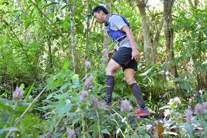 BIB: 
                            <button type="button" onclick="openModal(6888194)" class="btn btn-primary btn-sm float-right btn-popup" data-toggle="modal" data-target=".modal-high-quality">
                        <i class="fas fa-shopping-cart"></i> Add to Cart
                    </button>
                                            <button type="button" onclick="isThisMe(6888194, true)" class="btn btn-success btn-sm float-right btn-popup btn-isme hidden" data-toggle="tooltip" data-placement="bottom" title="นี่คือรูปของคุณใช่ไหม คลิกที่นี่เพื่อเอาเข้าอัลบั้ม">
                        <i class="fas fa-plus"></i> Add to album
                    </button>
                    <button type="button" onclick="isThisMe(6888194, false)" class="btn btn-warning btn-sm float-right btn-popup btn-isnotme hidden">
                        <i class="fas fa-ban"></i> Remove from album
                    </button>