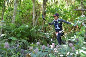 BIB: 
                            <button type="button" onclick="openModal(6887302)" class="btn btn-primary btn-sm float-right btn-popup" data-toggle="modal" data-target=".modal-high-quality">
                        <i class="fas fa-shopping-cart"></i> Add to Cart
                    </button>
                                            <button type="button" onclick="isThisMe(6887302, true)" class="btn btn-success btn-sm float-right btn-popup btn-isme hidden" data-toggle="tooltip" data-placement="bottom" title="นี่คือรูปของคุณใช่ไหม คลิกที่นี่เพื่อเอาเข้าอัลบั้ม">
                        <i class="fas fa-plus"></i> Add to album
                    </button>
                    <button type="button" onclick="isThisMe(6887302, false)" class="btn btn-warning btn-sm float-right btn-popup btn-isnotme hidden">
                        <i class="fas fa-ban"></i> Remove from album
                    </button>