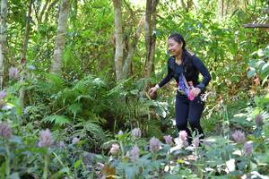 BIB: 
                            <button type="button" onclick="openModal(6888502)" class="btn btn-primary btn-sm float-right btn-popup" data-toggle="modal" data-target=".modal-high-quality">
                        <i class="fas fa-shopping-cart"></i> Add to Cart
                    </button>
                                            <button type="button" onclick="isThisMe(6888502, true)" class="btn btn-success btn-sm float-right btn-popup btn-isme hidden" data-toggle="tooltip" data-placement="bottom" title="นี่คือรูปของคุณใช่ไหม คลิกที่นี่เพื่อเอาเข้าอัลบั้ม">
                        <i class="fas fa-plus"></i> Add to album
                    </button>
                    <button type="button" onclick="isThisMe(6888502, false)" class="btn btn-warning btn-sm float-right btn-popup btn-isnotme hidden">
                        <i class="fas fa-ban"></i> Remove from album
                    </button>