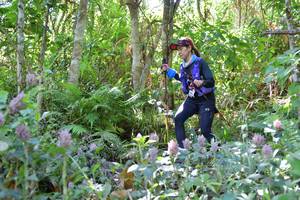 BIB: 
                            <button type="button" onclick="openModal(6889006)" class="btn btn-primary btn-sm float-right btn-popup" data-toggle="modal" data-target=".modal-high-quality">
                        <i class="fas fa-shopping-cart"></i> Add to Cart
                    </button>
                                            <button type="button" onclick="isThisMe(6889006, true)" class="btn btn-success btn-sm float-right btn-popup btn-isme hidden" data-toggle="tooltip" data-placement="bottom" title="นี่คือรูปของคุณใช่ไหม คลิกที่นี่เพื่อเอาเข้าอัลบั้ม">
                        <i class="fas fa-plus"></i> Add to album
                    </button>
                    <button type="button" onclick="isThisMe(6889006, false)" class="btn btn-warning btn-sm float-right btn-popup btn-isnotme hidden">
                        <i class="fas fa-ban"></i> Remove from album
                    </button>