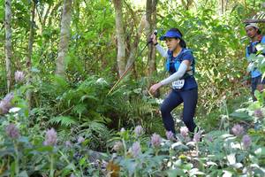 BIB: 4574
                            <button type="button" onclick="openModal(6887462)" class="btn btn-primary btn-sm float-right btn-popup" data-toggle="modal" data-target=".modal-high-quality">
                        <i class="fas fa-shopping-cart"></i> Add to Cart
                    </button>
                                            <button type="button" onclick="isThisMe(6887462, true)" class="btn btn-success btn-sm float-right btn-popup btn-isme hidden" data-toggle="tooltip" data-placement="bottom" title="นี่คือรูปของคุณใช่ไหม คลิกที่นี่เพื่อเอาเข้าอัลบั้ม">
                        <i class="fas fa-plus"></i> Add to album
                    </button>
                    <button type="button" onclick="isThisMe(6887462, false)" class="btn btn-warning btn-sm float-right btn-popup btn-isnotme hidden">
                        <i class="fas fa-ban"></i> Remove from album
                    </button>