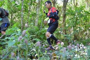 BIB: 
                            <button type="button" onclick="openModal(6887087)" class="btn btn-primary btn-sm float-right btn-popup" data-toggle="modal" data-target=".modal-high-quality">
                        <i class="fas fa-shopping-cart"></i> Add to Cart
                    </button>
                                            <button type="button" onclick="isThisMe(6887087, true)" class="btn btn-success btn-sm float-right btn-popup btn-isme hidden" data-toggle="tooltip" data-placement="bottom" title="นี่คือรูปของคุณใช่ไหม คลิกที่นี่เพื่อเอาเข้าอัลบั้ม">
                        <i class="fas fa-plus"></i> Add to album
                    </button>
                    <button type="button" onclick="isThisMe(6887087, false)" class="btn btn-warning btn-sm float-right btn-popup btn-isnotme hidden">
                        <i class="fas fa-ban"></i> Remove from album
                    </button>