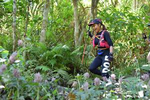 BIB: 
                            <button type="button" onclick="openModal(6887646)" class="btn btn-primary btn-sm float-right btn-popup" data-toggle="modal" data-target=".modal-high-quality">
                        <i class="fas fa-shopping-cart"></i> Add to Cart
                    </button>
                                            <button type="button" onclick="isThisMe(6887646, true)" class="btn btn-success btn-sm float-right btn-popup btn-isme hidden" data-toggle="tooltip" data-placement="bottom" title="นี่คือรูปของคุณใช่ไหม คลิกที่นี่เพื่อเอาเข้าอัลบั้ม">
                        <i class="fas fa-plus"></i> Add to album
                    </button>
                    <button type="button" onclick="isThisMe(6887646, false)" class="btn btn-warning btn-sm float-right btn-popup btn-isnotme hidden">
                        <i class="fas fa-ban"></i> Remove from album
                    </button>