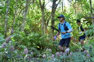 BIB: 
                            <button type="button" onclick="openModal(6881678)" class="btn btn-primary btn-sm float-right btn-popup" data-toggle="modal" data-target=".modal-high-quality">
                        <i class="fas fa-shopping-cart"></i> Add to Cart
                    </button>
                                            <button type="button" onclick="isThisMe(6881678, true)" class="btn btn-success btn-sm float-right btn-popup btn-isme hidden" data-toggle="tooltip" data-placement="bottom" title="นี่คือรูปของคุณใช่ไหม คลิกที่นี่เพื่อเอาเข้าอัลบั้ม">
                        <i class="fas fa-plus"></i> Add to album
                    </button>
                    <button type="button" onclick="isThisMe(6881678, false)" class="btn btn-warning btn-sm float-right btn-popup btn-isnotme hidden">
                        <i class="fas fa-ban"></i> Remove from album
                    </button>