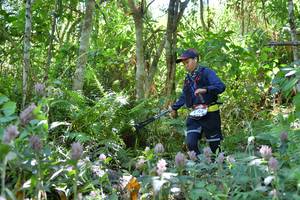 BIB: 
                            <button type="button" onclick="openModal(6882641)" class="btn btn-primary btn-sm float-right btn-popup" data-toggle="modal" data-target=".modal-high-quality">
                        <i class="fas fa-shopping-cart"></i> Add to Cart
                    </button>
                                            <button type="button" onclick="isThisMe(6882641, true)" class="btn btn-success btn-sm float-right btn-popup btn-isme hidden" data-toggle="tooltip" data-placement="bottom" title="นี่คือรูปของคุณใช่ไหม คลิกที่นี่เพื่อเอาเข้าอัลบั้ม">
                        <i class="fas fa-plus"></i> Add to album
                    </button>
                    <button type="button" onclick="isThisMe(6882641, false)" class="btn btn-warning btn-sm float-right btn-popup btn-isnotme hidden">
                        <i class="fas fa-ban"></i> Remove from album
                    </button>