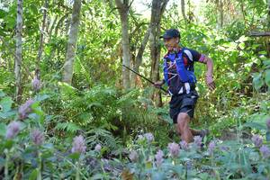 BIB: 
                            <button type="button" onclick="openModal(6881788)" class="btn btn-primary btn-sm float-right btn-popup" data-toggle="modal" data-target=".modal-high-quality">
                        <i class="fas fa-shopping-cart"></i> Add to Cart
                    </button>
                                            <button type="button" onclick="isThisMe(6881788, true)" class="btn btn-success btn-sm float-right btn-popup btn-isme hidden" data-toggle="tooltip" data-placement="bottom" title="นี่คือรูปของคุณใช่ไหม คลิกที่นี่เพื่อเอาเข้าอัลบั้ม">
                        <i class="fas fa-plus"></i> Add to album
                    </button>
                    <button type="button" onclick="isThisMe(6881788, false)" class="btn btn-warning btn-sm float-right btn-popup btn-isnotme hidden">
                        <i class="fas fa-ban"></i> Remove from album
                    </button>