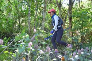 BIB: 
                            <button type="button" onclick="openModal(6881893)" class="btn btn-primary btn-sm float-right btn-popup" data-toggle="modal" data-target=".modal-high-quality">
                        <i class="fas fa-shopping-cart"></i> Add to Cart
                    </button>
                                            <button type="button" onclick="isThisMe(6881893, true)" class="btn btn-success btn-sm float-right btn-popup btn-isme hidden" data-toggle="tooltip" data-placement="bottom" title="นี่คือรูปของคุณใช่ไหม คลิกที่นี่เพื่อเอาเข้าอัลบั้ม">
                        <i class="fas fa-plus"></i> Add to album
                    </button>
                    <button type="button" onclick="isThisMe(6881893, false)" class="btn btn-warning btn-sm float-right btn-popup btn-isnotme hidden">
                        <i class="fas fa-ban"></i> Remove from album
                    </button>