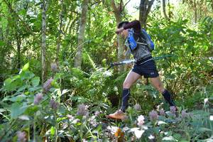 BIB: 
                            <button type="button" onclick="openModal(6881121)" class="btn btn-primary btn-sm float-right btn-popup" data-toggle="modal" data-target=".modal-high-quality">
                        <i class="fas fa-shopping-cart"></i> Add to Cart
                    </button>
                                            <button type="button" onclick="isThisMe(6881121, true)" class="btn btn-success btn-sm float-right btn-popup btn-isme hidden" data-toggle="tooltip" data-placement="bottom" title="นี่คือรูปของคุณใช่ไหม คลิกที่นี่เพื่อเอาเข้าอัลบั้ม">
                        <i class="fas fa-plus"></i> Add to album
                    </button>
                    <button type="button" onclick="isThisMe(6881121, false)" class="btn btn-warning btn-sm float-right btn-popup btn-isnotme hidden">
                        <i class="fas fa-ban"></i> Remove from album
                    </button>