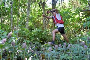 BIB: 
                            <button type="button" onclick="openModal(6882498)" class="btn btn-primary btn-sm float-right btn-popup" data-toggle="modal" data-target=".modal-high-quality">
                        <i class="fas fa-shopping-cart"></i> Add to Cart
                    </button>
                                            <button type="button" onclick="isThisMe(6882498, true)" class="btn btn-success btn-sm float-right btn-popup btn-isme hidden" data-toggle="tooltip" data-placement="bottom" title="นี่คือรูปของคุณใช่ไหม คลิกที่นี่เพื่อเอาเข้าอัลบั้ม">
                        <i class="fas fa-plus"></i> Add to album
                    </button>
                    <button type="button" onclick="isThisMe(6882498, false)" class="btn btn-warning btn-sm float-right btn-popup btn-isnotme hidden">
                        <i class="fas fa-ban"></i> Remove from album
                    </button>