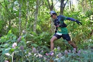 BIB: 
                            <button type="button" onclick="openModal(6882703)" class="btn btn-primary btn-sm float-right btn-popup" data-toggle="modal" data-target=".modal-high-quality">
                        <i class="fas fa-shopping-cart"></i> Add to Cart
                    </button>
                                            <button type="button" onclick="isThisMe(6882703, true)" class="btn btn-success btn-sm float-right btn-popup btn-isme hidden" data-toggle="tooltip" data-placement="bottom" title="นี่คือรูปของคุณใช่ไหม คลิกที่นี่เพื่อเอาเข้าอัลบั้ม">
                        <i class="fas fa-plus"></i> Add to album
                    </button>
                    <button type="button" onclick="isThisMe(6882703, false)" class="btn btn-warning btn-sm float-right btn-popup btn-isnotme hidden">
                        <i class="fas fa-ban"></i> Remove from album
                    </button>