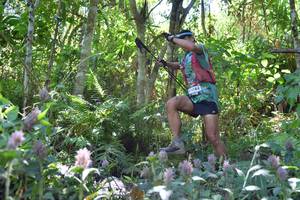 BIB: 184
                            <button type="button" onclick="openModal(6882080)" class="btn btn-primary btn-sm float-right btn-popup" data-toggle="modal" data-target=".modal-high-quality">
                        <i class="fas fa-shopping-cart"></i> Add to Cart
                    </button>
                                            <button type="button" onclick="isThisMe(6882080, true)" class="btn btn-success btn-sm float-right btn-popup btn-isme hidden" data-toggle="tooltip" data-placement="bottom" title="นี่คือรูปของคุณใช่ไหม คลิกที่นี่เพื่อเอาเข้าอัลบั้ม">
                        <i class="fas fa-plus"></i> Add to album
                    </button>
                    <button type="button" onclick="isThisMe(6882080, false)" class="btn btn-warning btn-sm float-right btn-popup btn-isnotme hidden">
                        <i class="fas fa-ban"></i> Remove from album
                    </button>