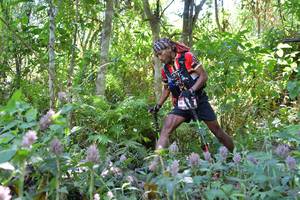 BIB: 
                            <button type="button" onclick="openModal(6881074)" class="btn btn-primary btn-sm float-right btn-popup" data-toggle="modal" data-target=".modal-high-quality">
                        <i class="fas fa-shopping-cart"></i> Add to Cart
                    </button>
                                            <button type="button" onclick="isThisMe(6881074, true)" class="btn btn-success btn-sm float-right btn-popup btn-isme hidden" data-toggle="tooltip" data-placement="bottom" title="นี่คือรูปของคุณใช่ไหม คลิกที่นี่เพื่อเอาเข้าอัลบั้ม">
                        <i class="fas fa-plus"></i> Add to album
                    </button>
                    <button type="button" onclick="isThisMe(6881074, false)" class="btn btn-warning btn-sm float-right btn-popup btn-isnotme hidden">
                        <i class="fas fa-ban"></i> Remove from album
                    </button>