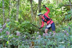 BIB: 484
                            <button type="button" onclick="openModal(6882561)" class="btn btn-primary btn-sm float-right btn-popup" data-toggle="modal" data-target=".modal-high-quality">
                        <i class="fas fa-shopping-cart"></i> Add to Cart
                    </button>
                                            <button type="button" onclick="isThisMe(6882561, true)" class="btn btn-success btn-sm float-right btn-popup btn-isme hidden" data-toggle="tooltip" data-placement="bottom" title="นี่คือรูปของคุณใช่ไหม คลิกที่นี่เพื่อเอาเข้าอัลบั้ม">
                        <i class="fas fa-plus"></i> Add to album
                    </button>
                    <button type="button" onclick="isThisMe(6882561, false)" class="btn btn-warning btn-sm float-right btn-popup btn-isnotme hidden">
                        <i class="fas fa-ban"></i> Remove from album
                    </button>