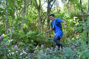 BIB: 
                            <button type="button" onclick="openModal(6881692)" class="btn btn-primary btn-sm float-right btn-popup" data-toggle="modal" data-target=".modal-high-quality">
                        <i class="fas fa-shopping-cart"></i> Add to Cart
                    </button>
                                            <button type="button" onclick="isThisMe(6881692, true)" class="btn btn-success btn-sm float-right btn-popup btn-isme hidden" data-toggle="tooltip" data-placement="bottom" title="นี่คือรูปของคุณใช่ไหม คลิกที่นี่เพื่อเอาเข้าอัลบั้ม">
                        <i class="fas fa-plus"></i> Add to album
                    </button>
                    <button type="button" onclick="isThisMe(6881692, false)" class="btn btn-warning btn-sm float-right btn-popup btn-isnotme hidden">
                        <i class="fas fa-ban"></i> Remove from album
                    </button>