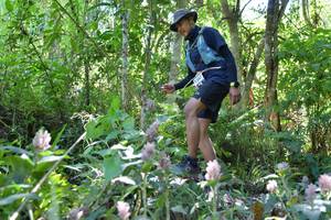 BIB: 
                            <button type="button" onclick="openModal(6881066)" class="btn btn-primary btn-sm float-right btn-popup" data-toggle="modal" data-target=".modal-high-quality">
                        <i class="fas fa-shopping-cart"></i> Add to Cart
                    </button>
                                            <button type="button" onclick="isThisMe(6881066, true)" class="btn btn-success btn-sm float-right btn-popup btn-isme hidden" data-toggle="tooltip" data-placement="bottom" title="นี่คือรูปของคุณใช่ไหม คลิกที่นี่เพื่อเอาเข้าอัลบั้ม">
                        <i class="fas fa-plus"></i> Add to album
                    </button>
                    <button type="button" onclick="isThisMe(6881066, false)" class="btn btn-warning btn-sm float-right btn-popup btn-isnotme hidden">
                        <i class="fas fa-ban"></i> Remove from album
                    </button>