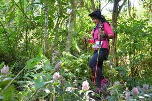 BIB: 
                            <button type="button" onclick="openModal(6881057)" class="btn btn-primary btn-sm float-right btn-popup" data-toggle="modal" data-target=".modal-high-quality">
                        <i class="fas fa-shopping-cart"></i> Add to Cart
                    </button>
                                            <button type="button" onclick="isThisMe(6881057, true)" class="btn btn-success btn-sm float-right btn-popup btn-isme hidden" data-toggle="tooltip" data-placement="bottom" title="นี่คือรูปของคุณใช่ไหม คลิกที่นี่เพื่อเอาเข้าอัลบั้ม">
                        <i class="fas fa-plus"></i> Add to album
                    </button>
                    <button type="button" onclick="isThisMe(6881057, false)" class="btn btn-warning btn-sm float-right btn-popup btn-isnotme hidden">
                        <i class="fas fa-ban"></i> Remove from album
                    </button>